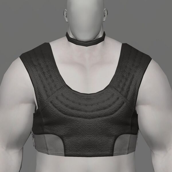 File:Hempen Undershirt Roegadyn.jpeg
