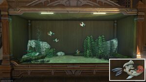 Four Handy Hamsas in Tier 4 Aquarium with a close-up.