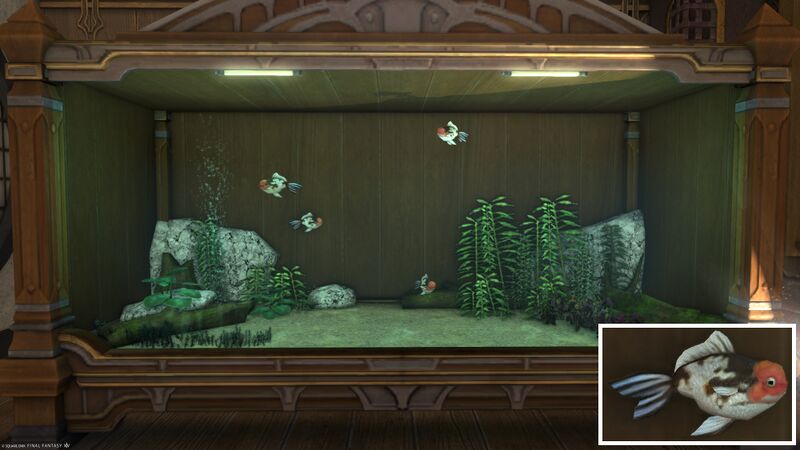 File:Aquarium Preview Handy Hamsa.jpg
