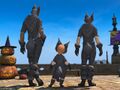Thumbnail for version as of 19:23, 19 June 2026