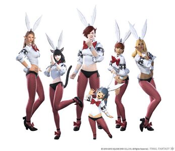 Bunnygirl outfit1.jpg