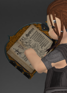 Ceremonial Grimoire (inside) (Summoner)