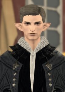 House Fortemps Manservant