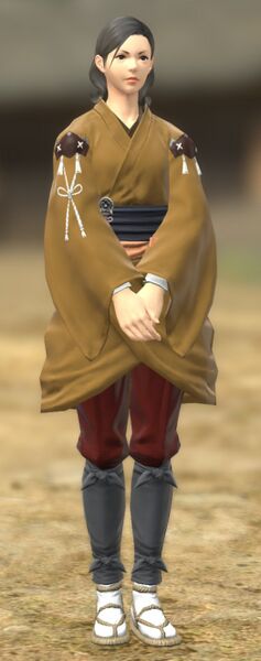 File:Panicked Villager fullbody.jpg