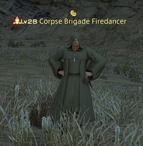 Corpse Brigade Firedancer