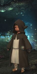 Eager Thaumaturge