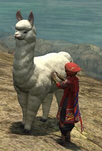 Alpaca Handler (Animal Friendship)