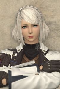 Level-headed Engineer