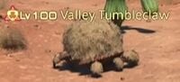 Valley Tumbleclaw.jpg