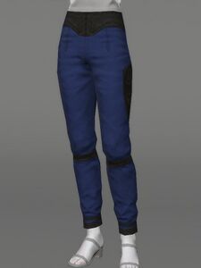 Warwolf Chausses of Casting