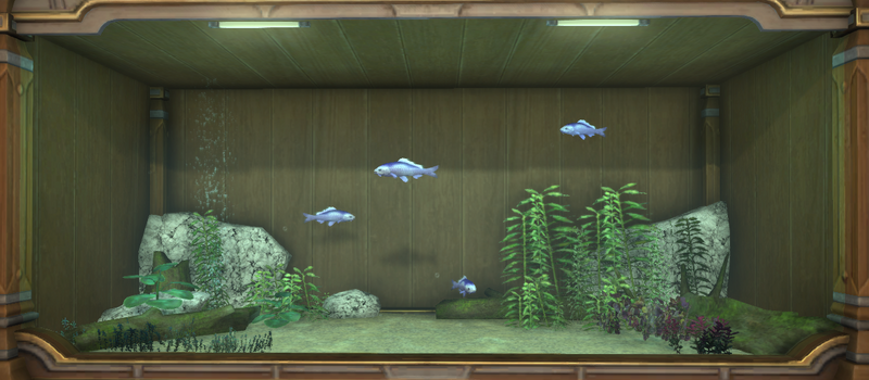 File:Indigo Prismfish tank 1.png