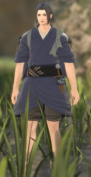 File:Miyama fullbody.jpg