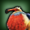 Dodo of Paradise icon1.png