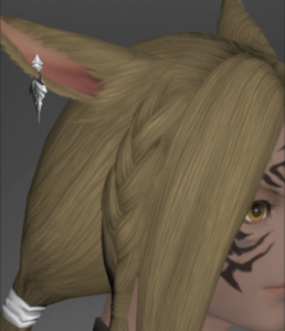 Augmented Primal Earrings of Casting.png