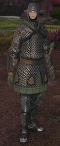 House Haillenarte Squire