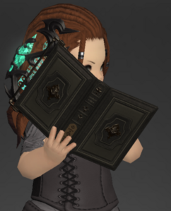 Matte Blade's Acumen (outside) (Summoner)