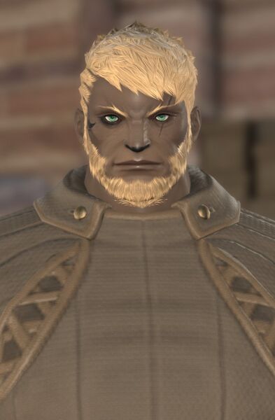 File:Retired Roegadyn.jpg