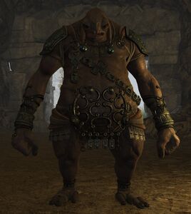 Temple Chronicler