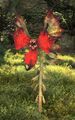 Thumbnail for version as of 22:06, 6 June 2026