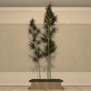 Bamboo Planter