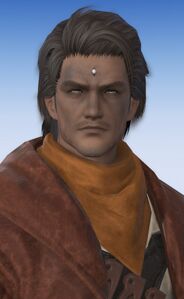 Gaius van Baelsar