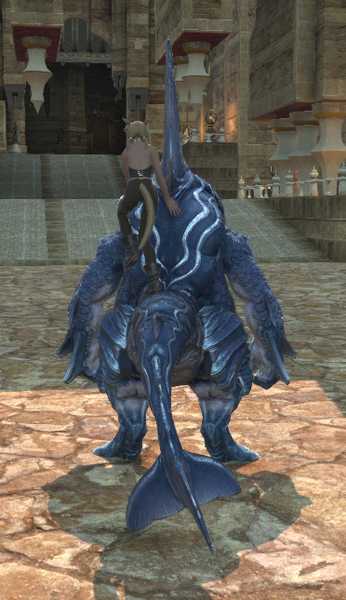 File:Petalodus rear.png