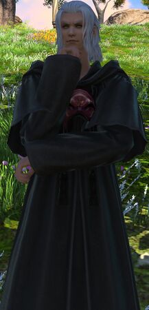 Endwalker appearance