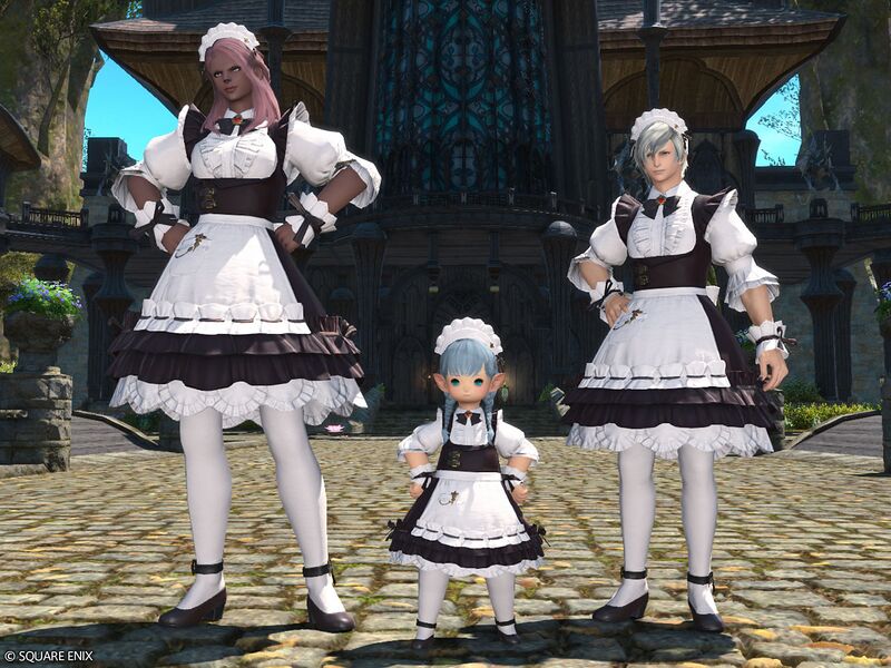 File:Loyal Housemaid's Attire2.jpg
