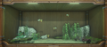 Thumbnail for version as of 15:59, 10 May 2026