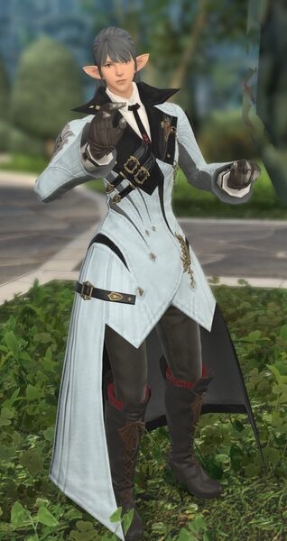 File:Occupied Administrator fullbody.jpg