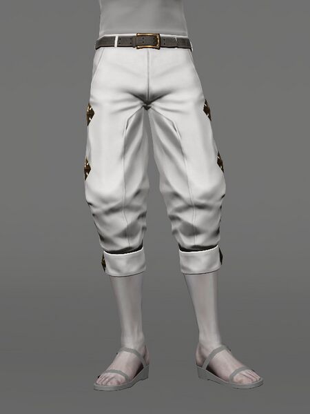 File:Realm-roamer's Slops Male.jpeg