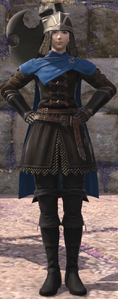 Round Sentry