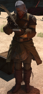 Beves