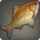 Karellian fishy fish icon1.png