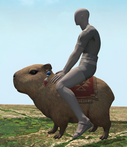 File:Capybara side.jpg