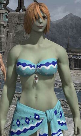 Appearance in Snowsoak Springs