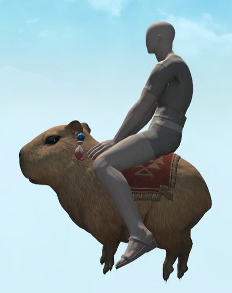File:Capybara flying.jpg