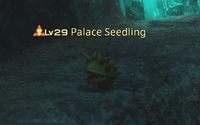 Palace Seedling.png