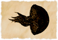 Thumbnail for version as of 11:50, 2 June 2026