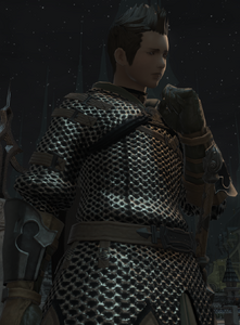 House Haillenarte Soldier