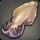 Island Squid