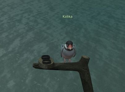 Kalika