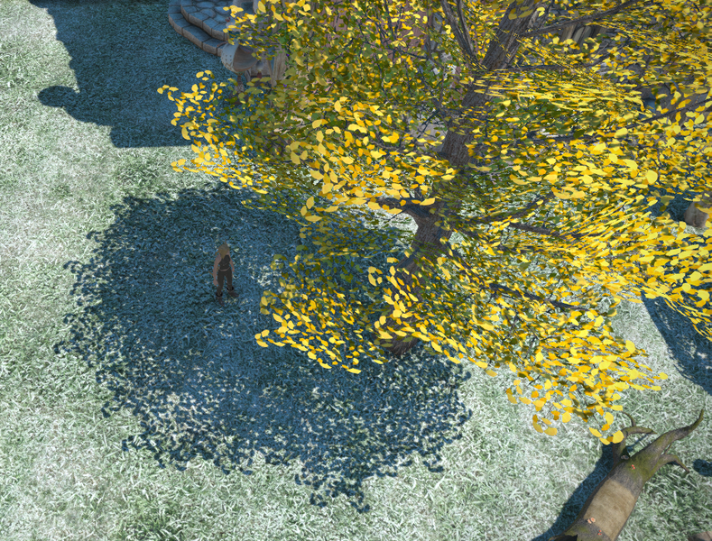 File:Autumnal Ginkgo Tree scale.png