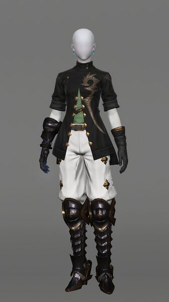 File:Realm-roamer's Attire Female.jpeg