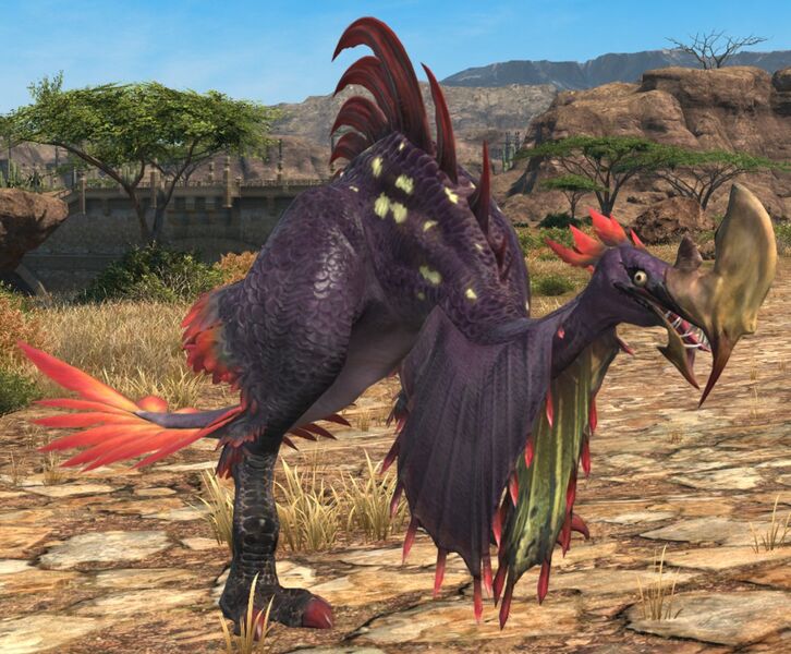 File:Tomahawk Beak.jpg