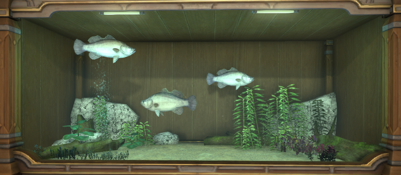 File:Yanxian Barramundi tank 1.png