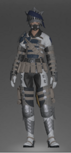 Royal Volunteer's Armor (The Burn, Saint Mocianne's Hard)