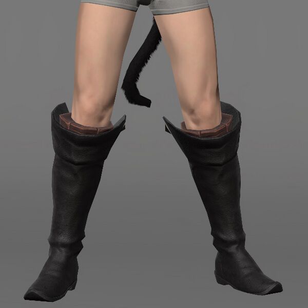 File:Miqo'te Longboots Male.jpeg