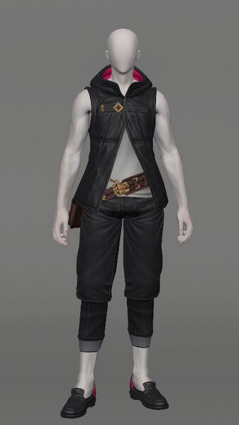 File:Adventurer's Hooded Attire Male.jpeg