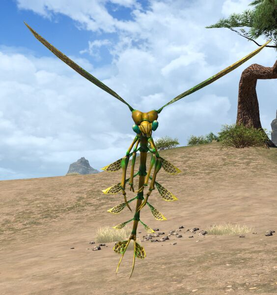 File:Dawnborn Dragonfly.jpg